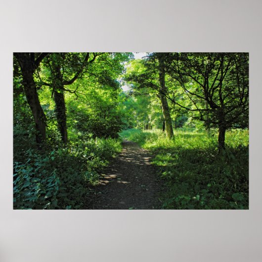 Poster Chemin des bois. Blackweir Woods, Cardiff, Wales. (Devant)