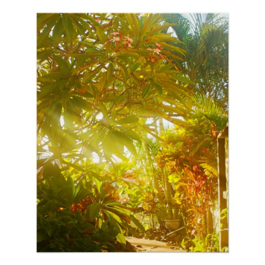 Poster Chemin du jardin (Devant)