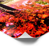 Poster Chemin du jardin (Coin)