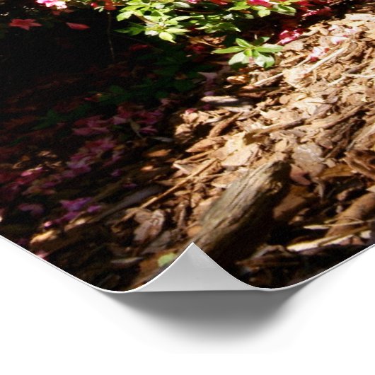 Poster Chemin du jardin (Coin)