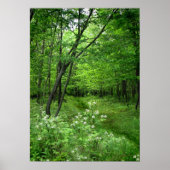 Poster Chemin forestier (Devant)