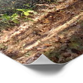 Poster Chemin forestier (Coin)