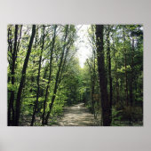 Poster Chemin forestier (Devant)