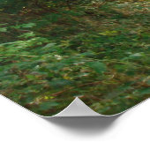 Poster Chemin forestier au Danemark (Coin)