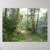 Poster Chemin forestier au Danemark (Devant)