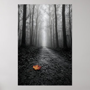 Poster Chemin forestier brumeux en couleur sélective