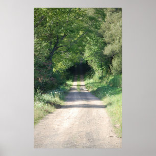 Poster Chemin forestier ou chemin de terre dans le côté