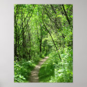 Poster Chemin forestier vert (Devant)