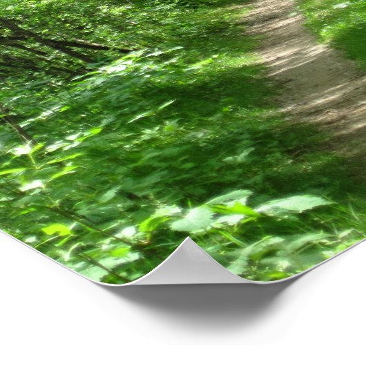 Poster Chemin forestier vert (Coin)