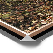 Poster Chemin Maple Sugar Bush - Automne Est de l'Ontario (Coin)