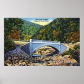 Poster Chemin Mohawk Vue du pont de Cold River (Devant)