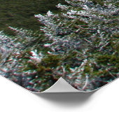 Poster Chemin Mt. Marcy (Coin)