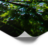 Poster Chemin Mystère  (Coin)