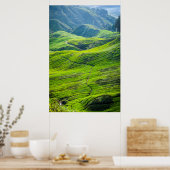 Poster Chemin par les plantations de thé (Cuisine)