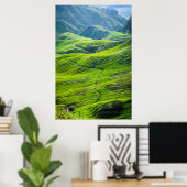 Poster Chemin par les plantations de thé (Bureau à domicile)