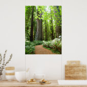 Poster Chemin Redwood (Cuisine)