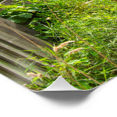 Poster Chemin Rustic, Mytholmroyd (Coin)