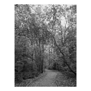 Poster Chemin tranquille de la forêt automnale – Édition