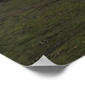 Poster Chemin vers Alfavatn (Coin)