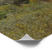 Poster Chemin vers Bell Rock 102 (Coin)