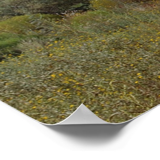 Poster Chemin vers Bell Rock 102 (Coin)