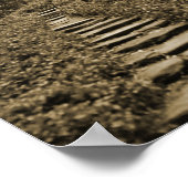 Poster Chemin vers la lumière (Coin)