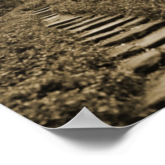 Poster Chemin vers la lumière (Coin)