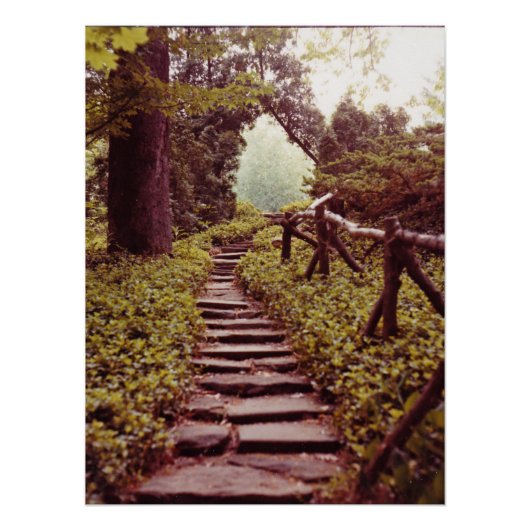 Poster Chemin vers la lumière (Devant)