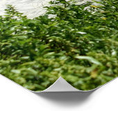 Poster Chemin vers la mer (Coin)