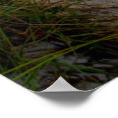 Poster Chemin vers la plage (Coin)