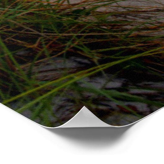 Poster Chemin vers la plage (Coin)