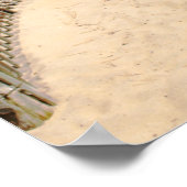 Poster Chemin vers la plage (Coin)