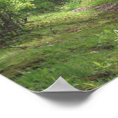 Poster Chemin vers la vie #2 (Coin)