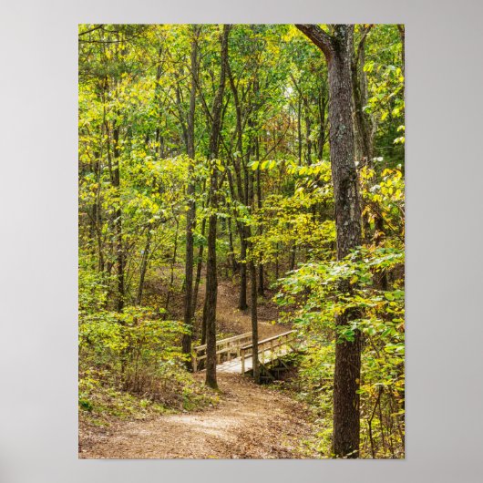 Poster Chemin Vers Le Pont (Devant)