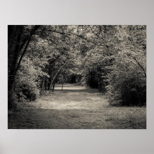 Poster Chemin vers l'inconnu (Devant)