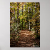 Poster Chemin Woodland (Devant)