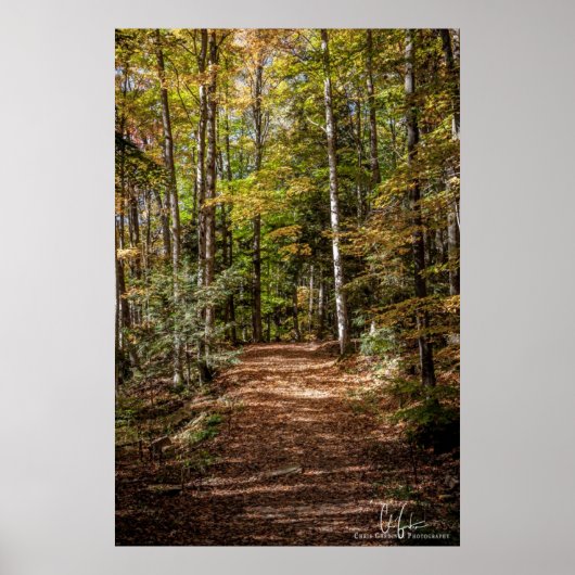 Poster Chemin Woodland (Devant)