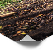 Poster Chemins de fer abandonnés HDR (Coin)