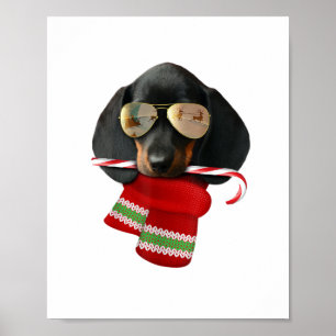 Poster Chemise Dachshund mignon Noël Cadeau Amoureux de l