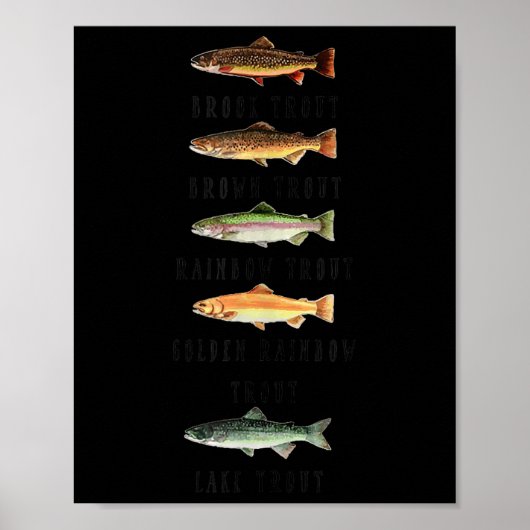 Poster Chemises drôles d'espèces de truites (Devant)
