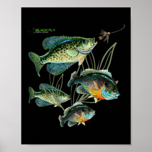 Poster Chemises et capuches de pêche Crappie Bluegill noi