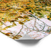 Poster Chêne à l'automne... (Coin)