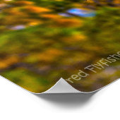 Poster Chêne automne Feuilles HDR (Coin)