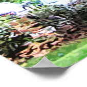 Poster Chêne Dans Le Parc 7659 Jacksonville, Floride (Coin)