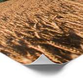 Poster Chêne dans un champ de blé (Coin)