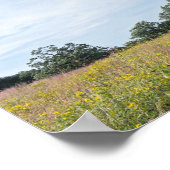 Poster Chêne de Burr et prairie (Coin)