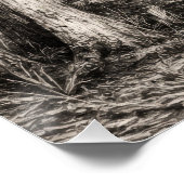 Poster Chêne de Floride ancien Hammock Graphite Croquis | (Coin)