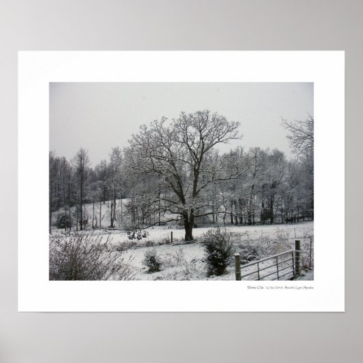 Poster Chêne d'hiver (Devant)