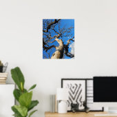 Poster Chêne du Texas marqué par un incendie de forêt (Bureau à domicile)