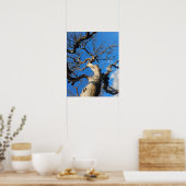 Poster Chêne du Texas marqué par un incendie de forêt (Cuisine)